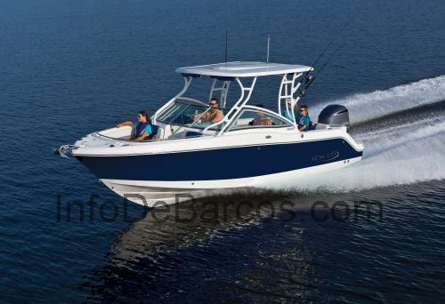 Robalo 247 ficha técnica y opiniones